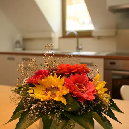 Apartma Cvetje V Jeseni