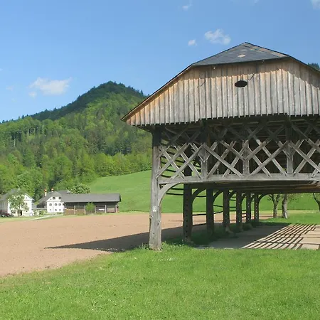 Apartament Cvetje V Jeseni *