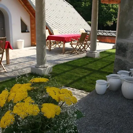 Cvetje V Jeseni Skofja Loka