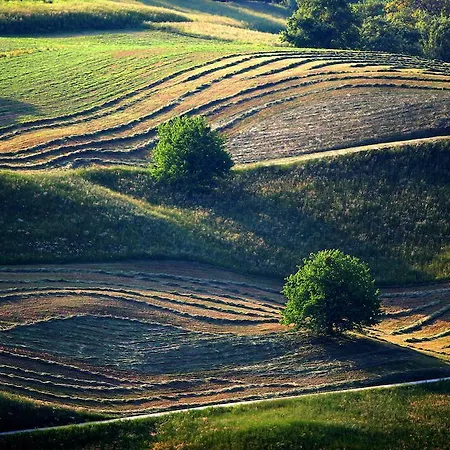 Cvetje V Jeseni Skofja Loka
