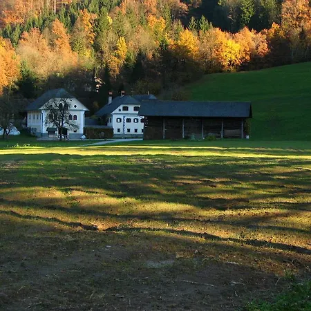 Apartment Cvetje V Jeseni