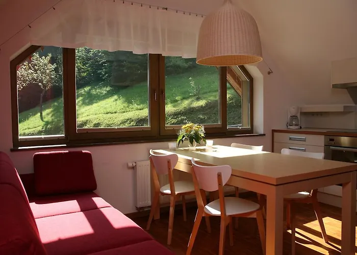 Daire Cvetje V Jeseni