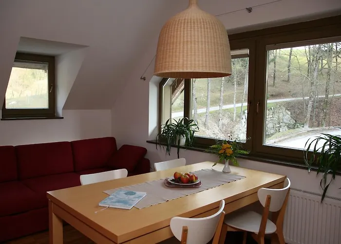 Cvetje V Jeseni Daire *