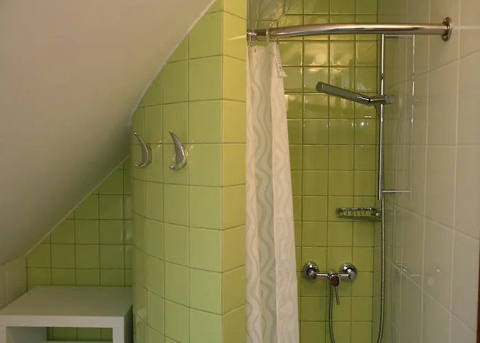 Daire Cvetje V Jeseni *