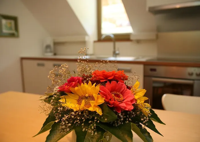 Daire Cvetje V Jeseni