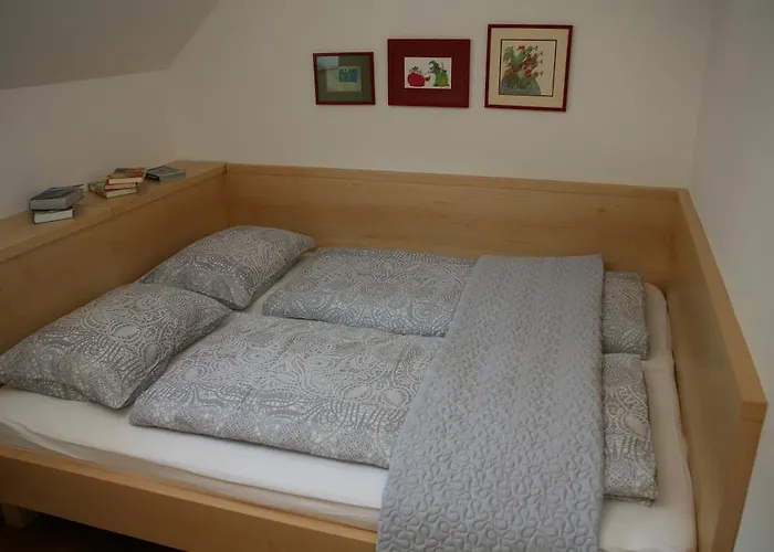 Daire Cvetje V Jeseni Škofja Loka