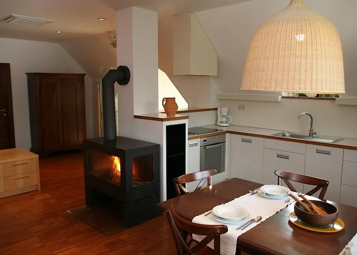 Daire Cvetje V Jeseni *