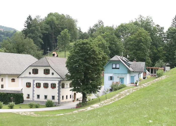 Daire Cvetje V Jeseni Škofja Loka