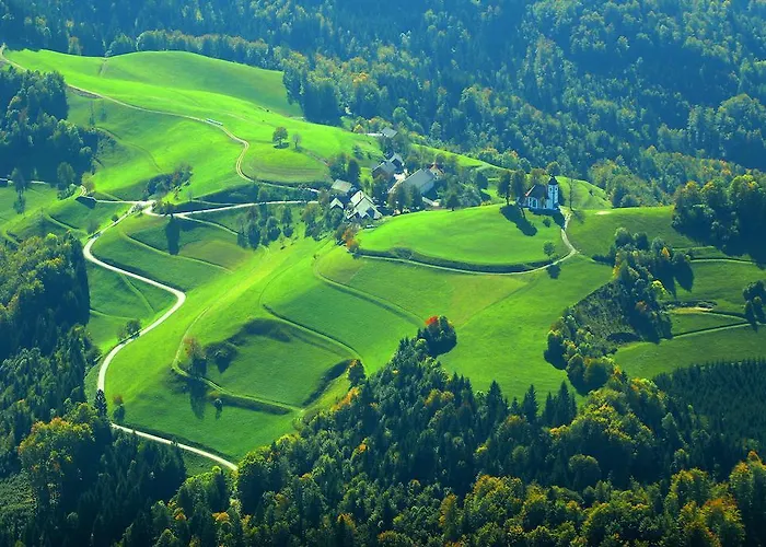 Daire Cvetje V Jeseni *