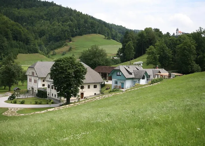 Daire Cvetje V Jeseni