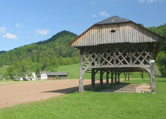 Daire Cvetje V Jeseni *