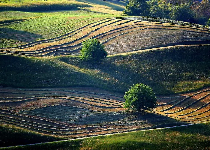 Cvetje V Jeseni Škofja Loka