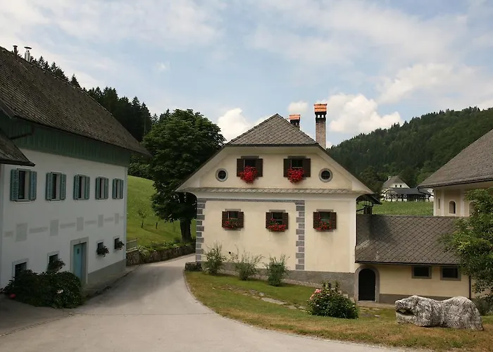 Daire Cvetje V Jeseni