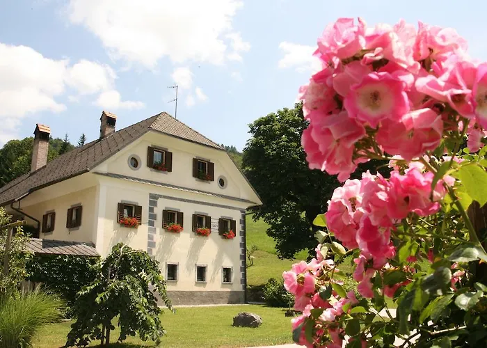 Daire Cvetje V Jeseni Škofja Loka
