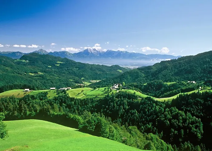 Daire Cvetje V Jeseni *