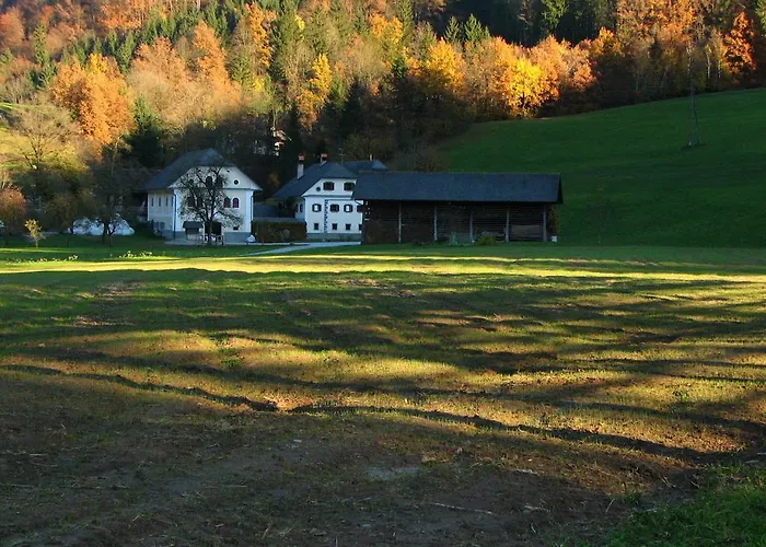 Daire Cvetje V Jeseni