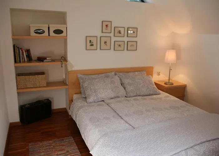 Daire Cvetje V Jeseni *