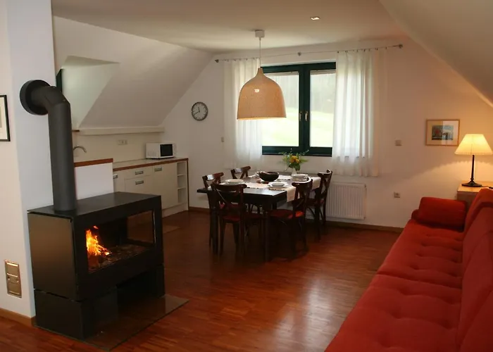 Daire Cvetje V Jeseni